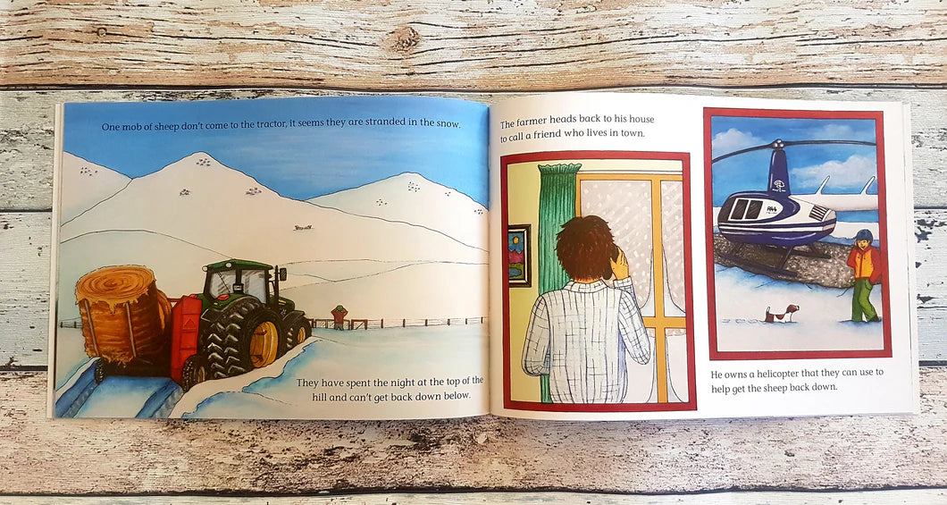 On The Farm - Snow Rescue Book