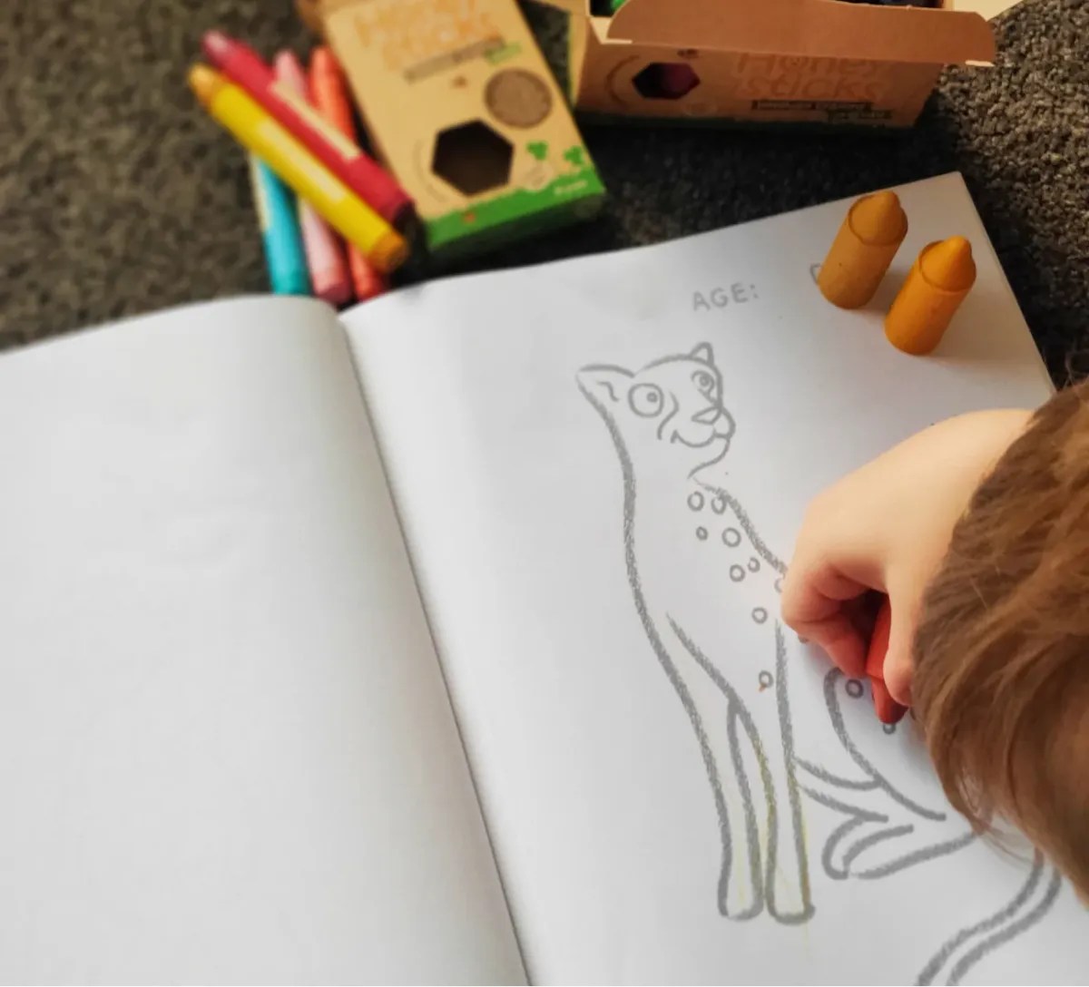 Toddlers First Colouring Book - An Endangered Animals Adventure