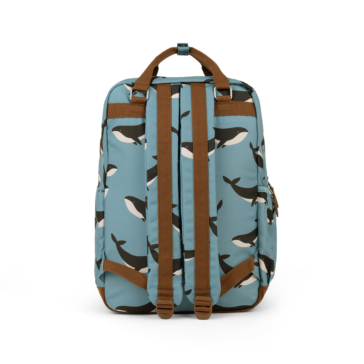 Knapsack || Whale Trail