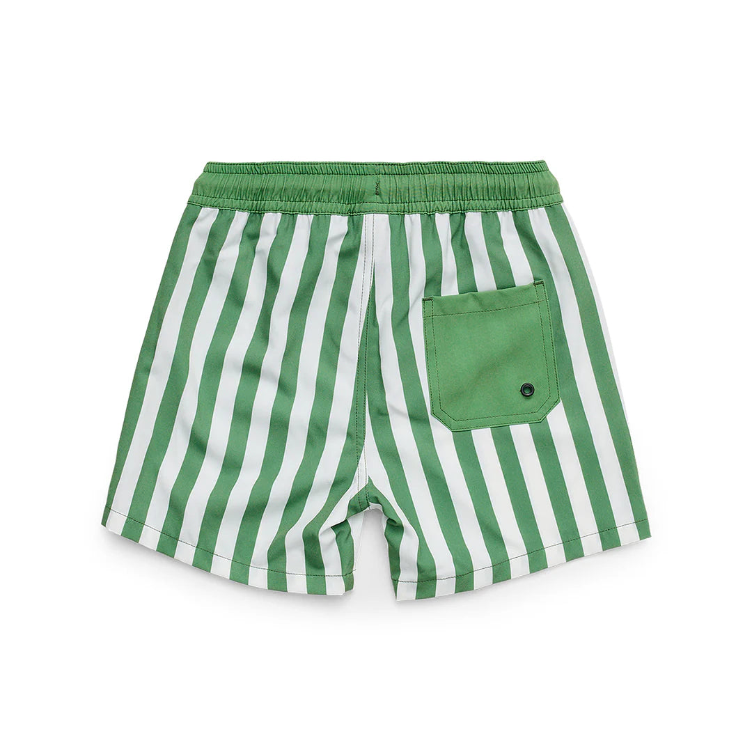 Board Short || Coastal Stripe