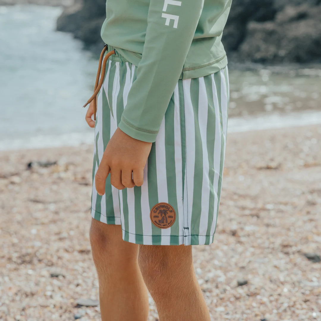 Board Short || Coastal Stripe