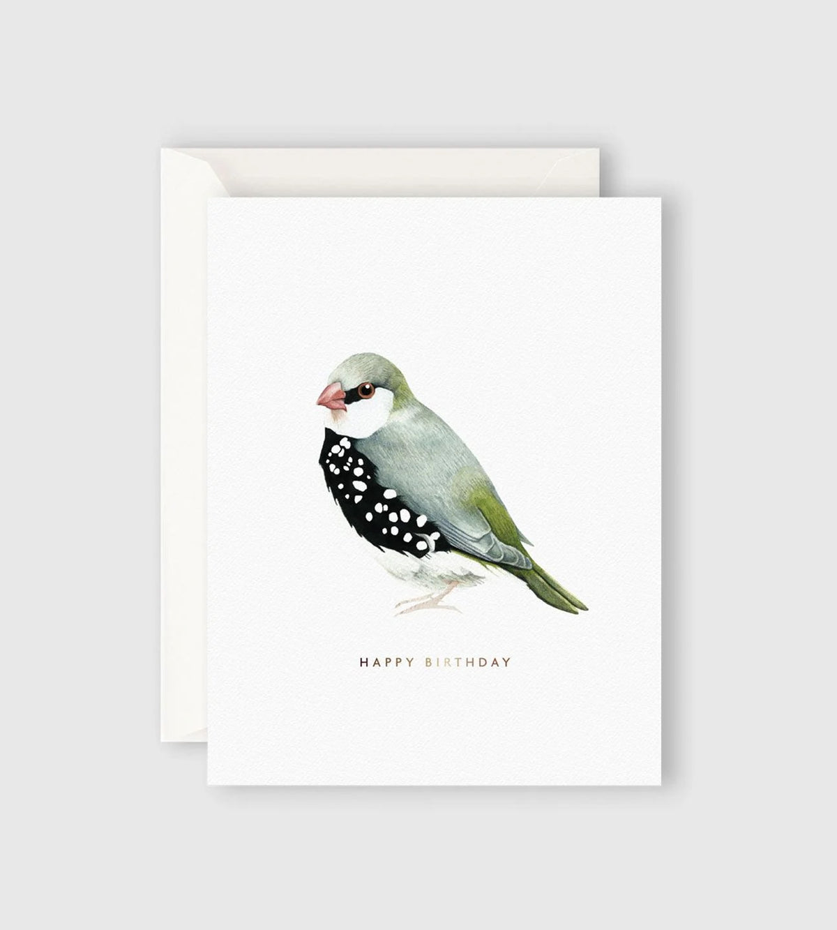 Happy Birthday Bird  Greeting Card