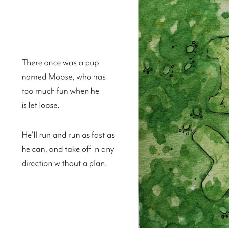 Moose on the Loose || Board Book