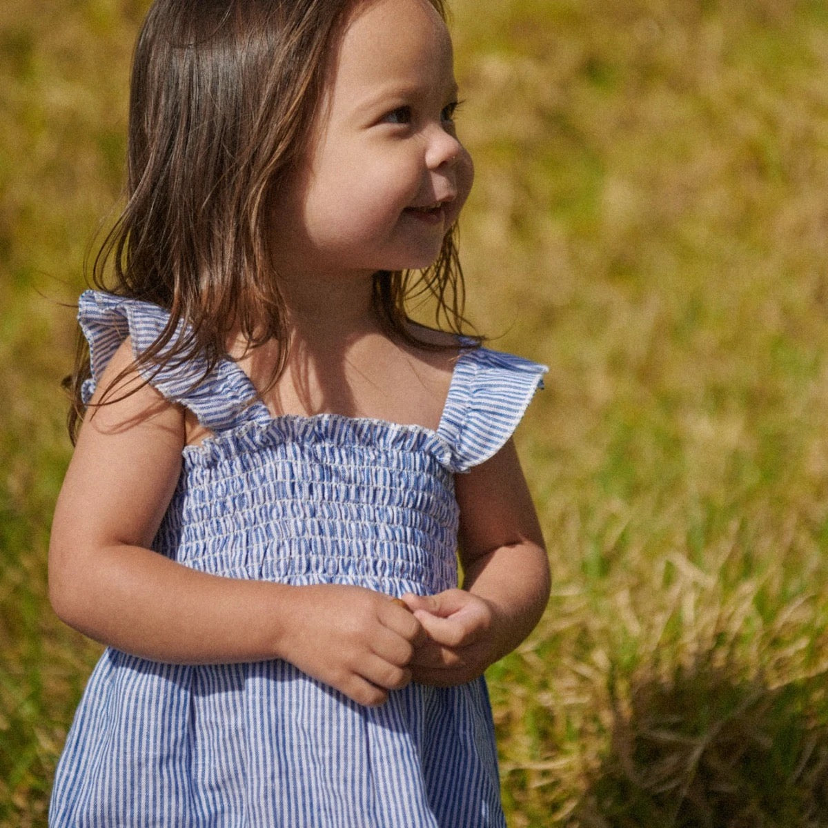Gala Dress Linen || Blue Stripe