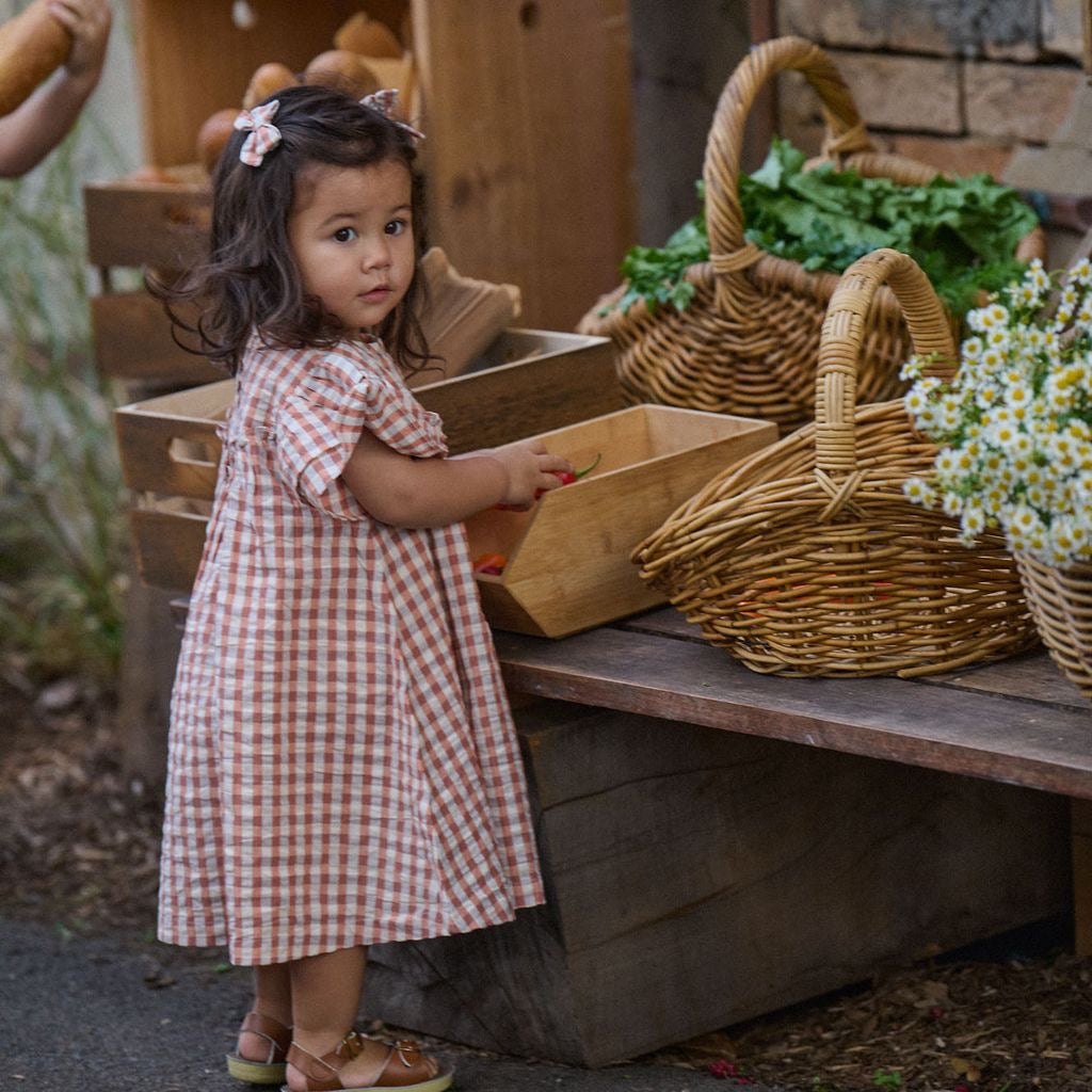 Una Dress || Dandelion Gingham