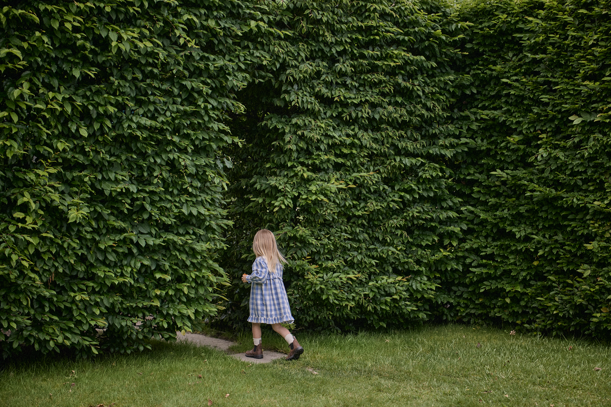 Nora Dress || Bluebelle Check