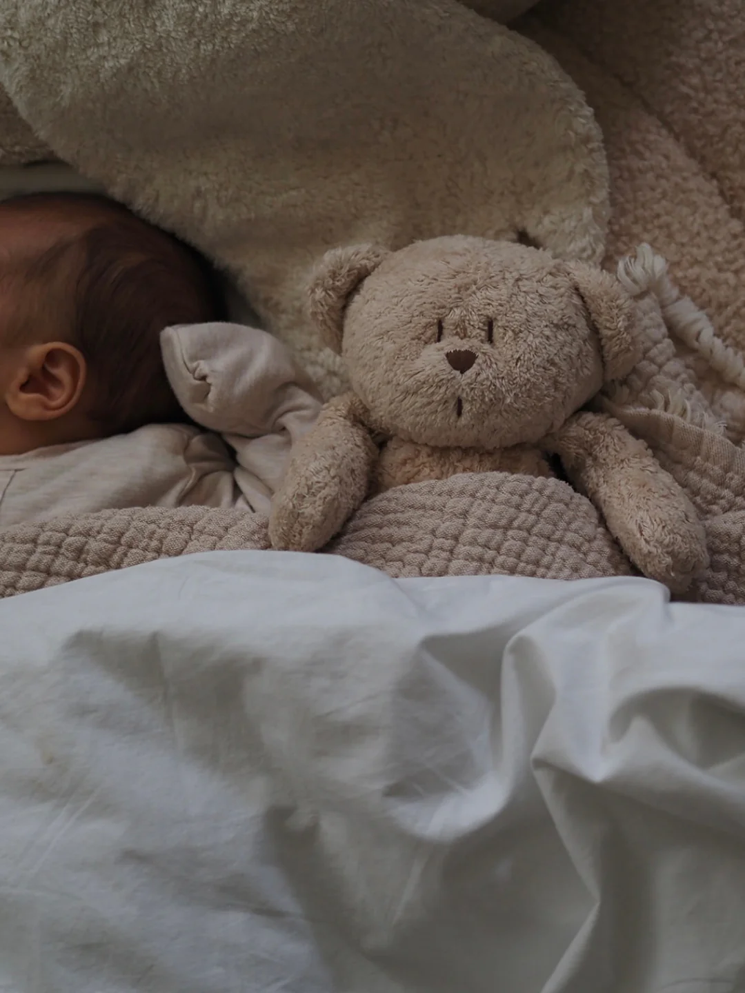 Moonie Organic Humming Bear 2.0 || Sand