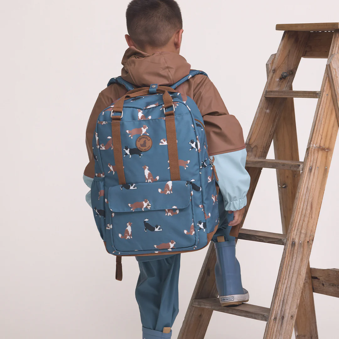 Knapsack || Collies