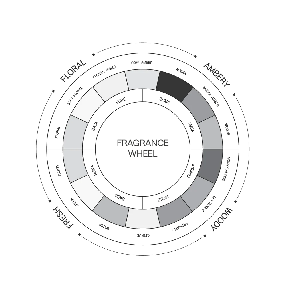Discovery Set 4 Pack || Zuma/Mose/Ruwa/Baya