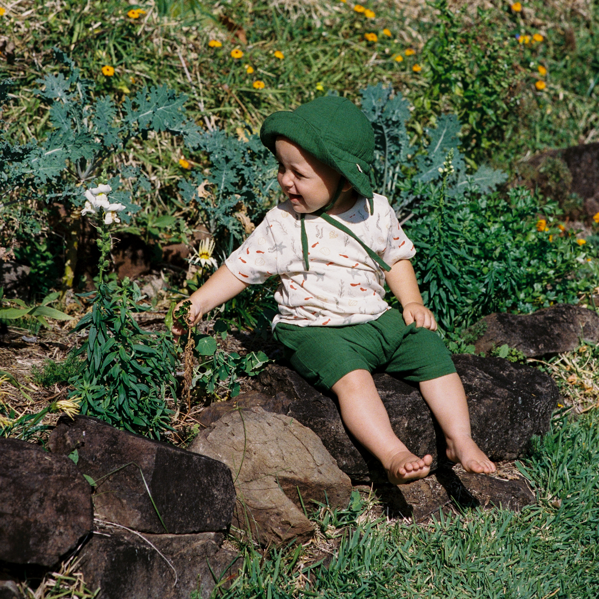 James Shorts Muslin || Fir Green