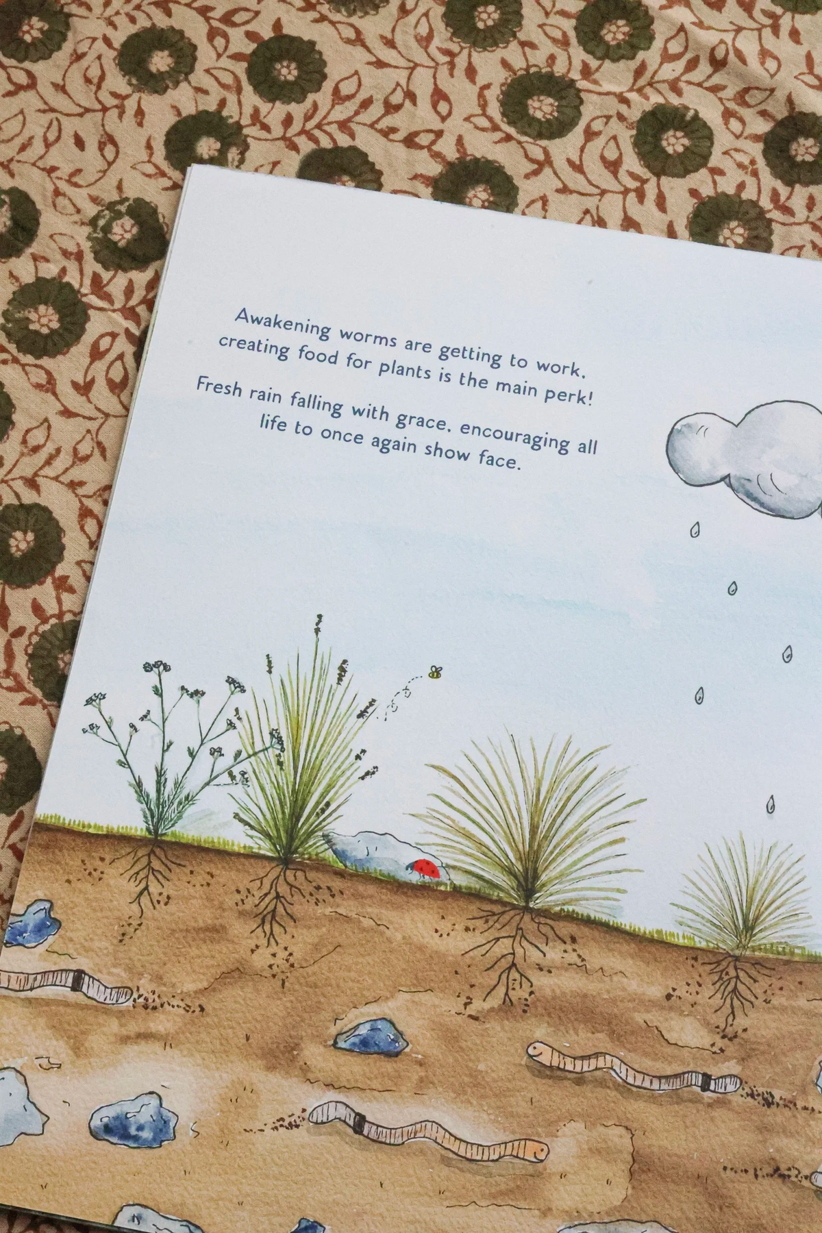 The Roadside Sunflower Childrens Book