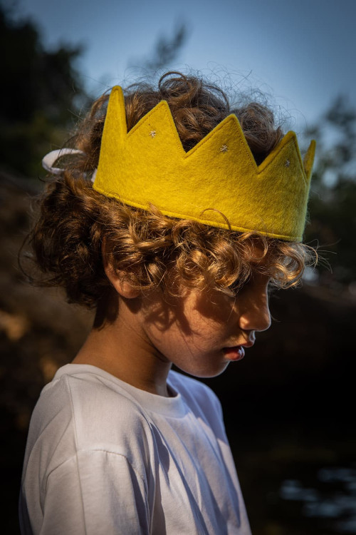 Rani Crown || Medium