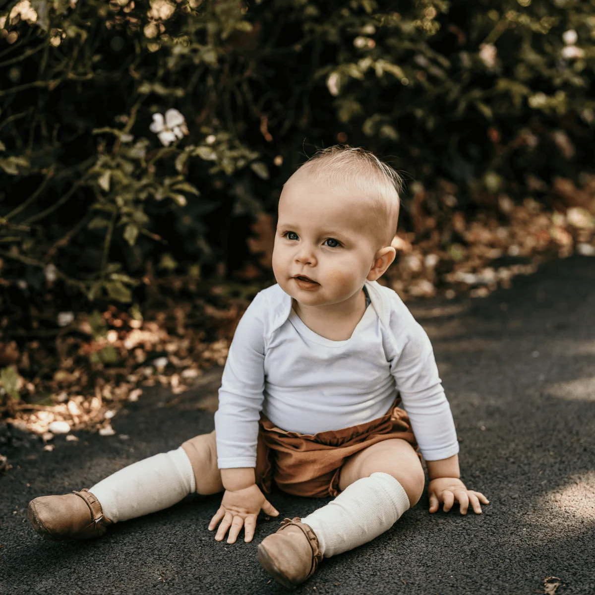 Merino Knee High Socks || Owl