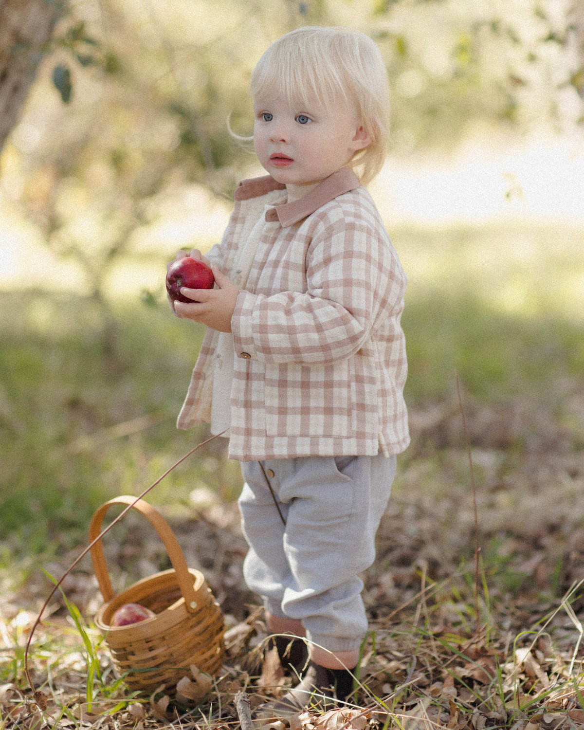 Ford Jacket || Rustic Plaid