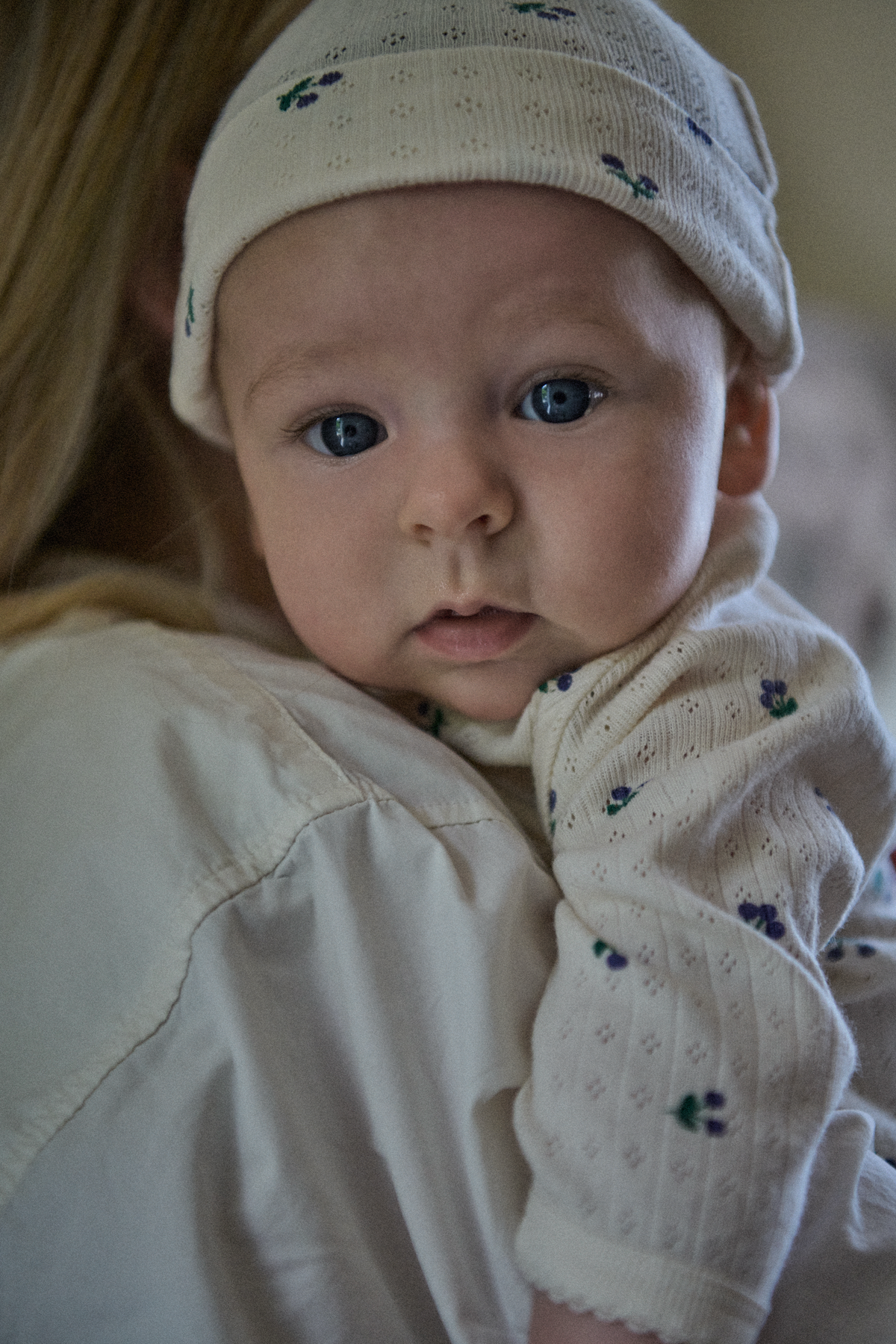 Long Sleeve Bodysuit Pointelle || Winter Berry