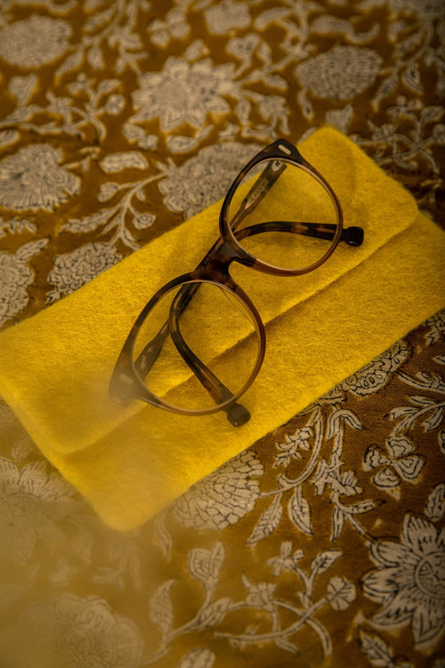 Glasses Case