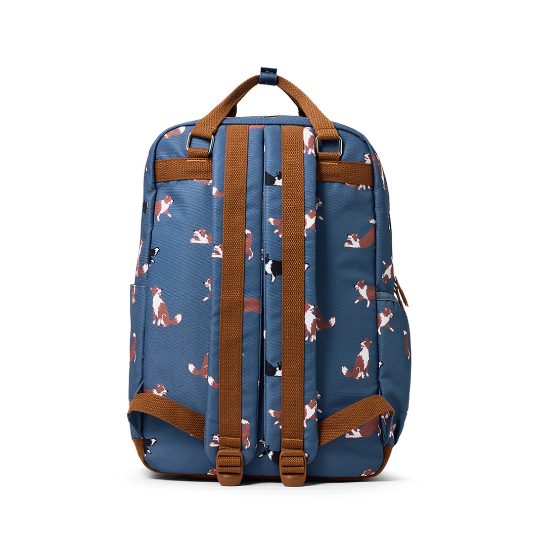 Knapsack || Collies