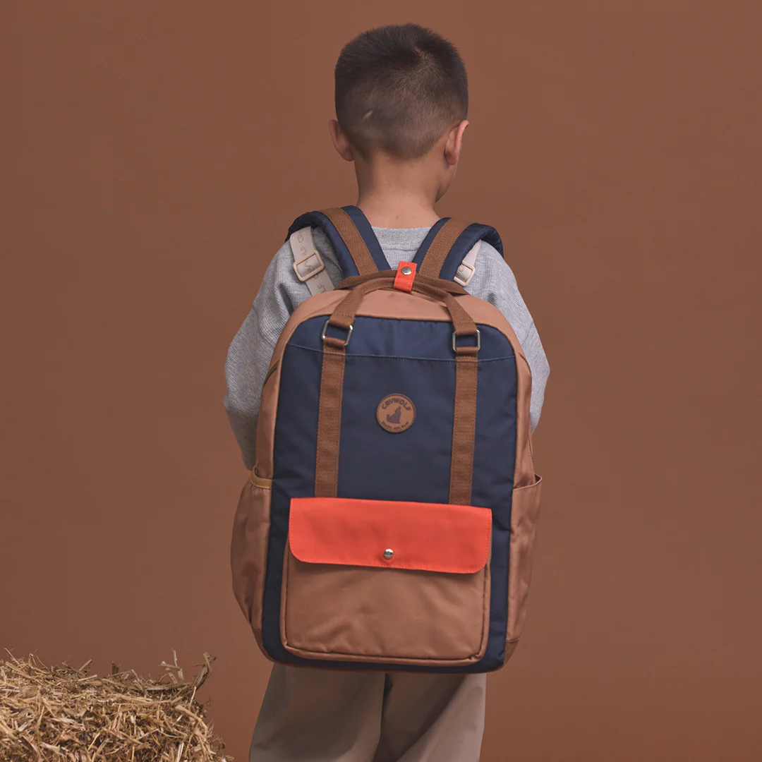 Knapsack || Ash Colourblock