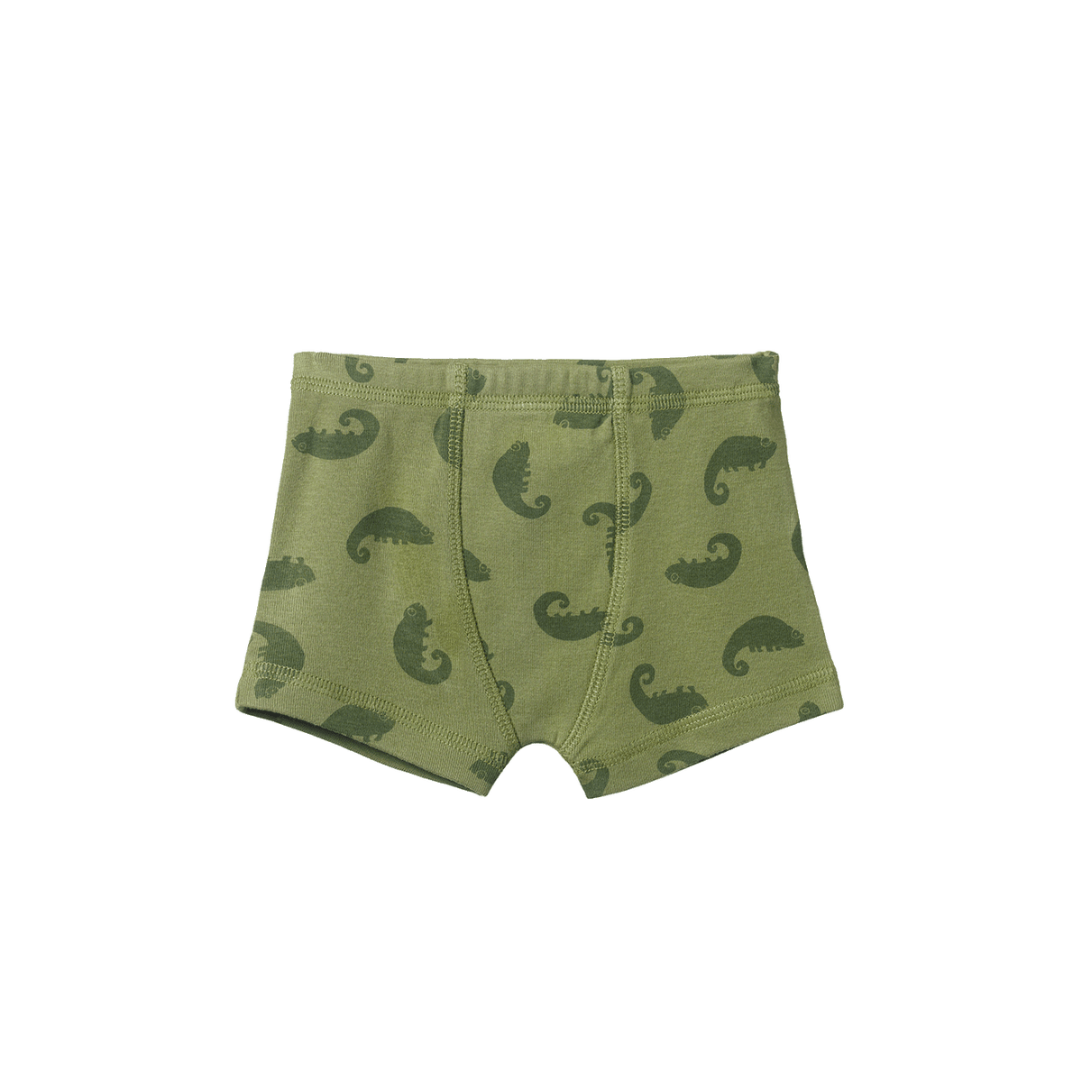 Boxer Shorts || Chameleon Print