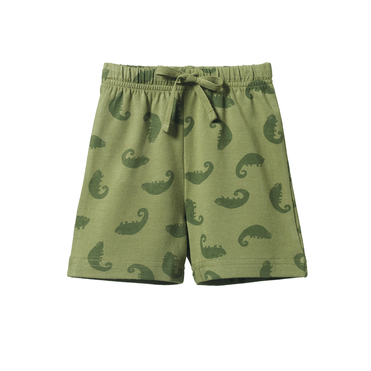 Jimmy Shorts || Chameleon Print