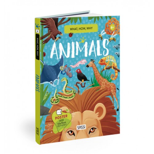 Sassi What How Why Animals Book and Poster Sassi What How Why Animals Book and Poster