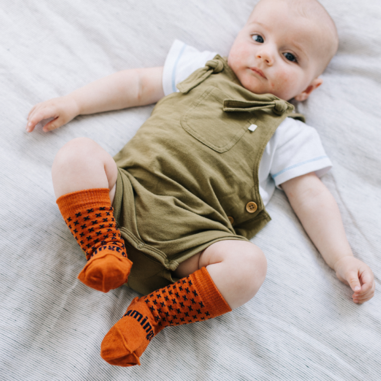 Harvest - Baby Crew Socks