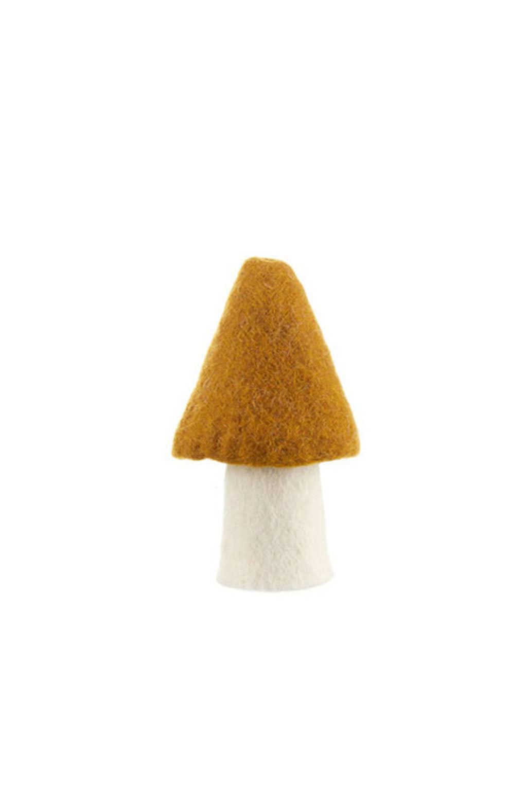 Morel Mushroom - Large 13cm
