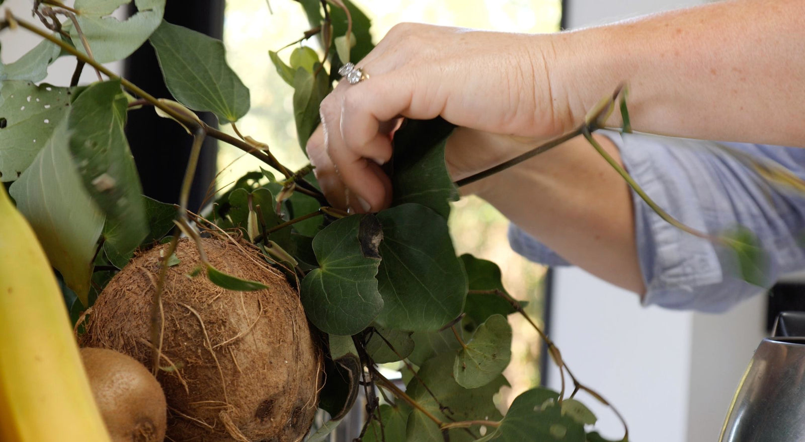 MANUKA,KAWAKAWA & MAMAKU REPAIR BALM - William Bee