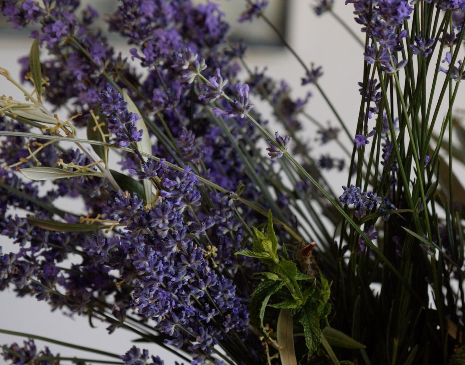 LAVENDER BABY BODY WASH - William Bee